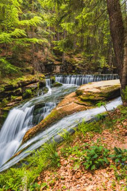 Beautiful giant Szklarka waterfall with giant rocks around and green surroundings clipart