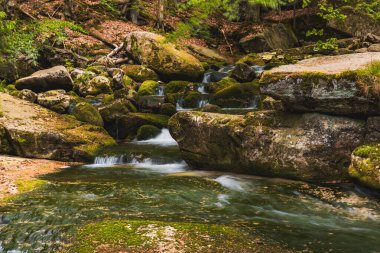 Serene Ormanındaki Yosun kaplı Kayalar ve Yumuşak Nehir