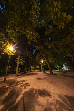 Peaceful Park Yolu Gece sokak lambalarıyla aydınlatıldı