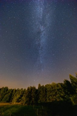 Yıldızlarla dolu güzel karanlık gece gökyüzü ve yüksek ağaçların üzerindeki uzun samanyolu siluetleri.