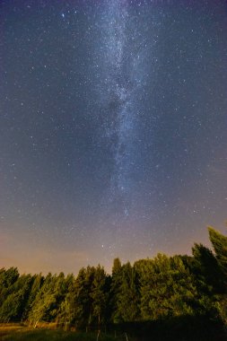 Yıldızlarla dolu güzel karanlık gece gökyüzü ve yüksek ağaçların üzerindeki uzun samanyolu siluetleri.