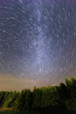 Karanlık gece gökyüzünde güzel yıldız izleri bazı tarlalar ve yüksek ağaçların siluetleri üzerinde Samanyolu ile hareket eden bulutlar ve uçan Perseidler