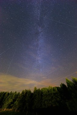 Yıldızlarla dolu güzel karanlık gece göğü ve yüksek ağaçların üzerindeki uzun samanyolu yolunda uçan Perseidler.