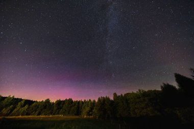 Yıldızlarla dolu güzel karanlık gece gökyüzü ve yükselen ağaçların üzerindeki gölgelerin ve Samanyolu 'nun önünde uçan Perseidler.