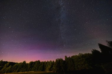 Yıldızlarla dolu güzel karanlık gece gökyüzü ve yükselen ağaçların üzerindeki gölgelerin ve Samanyolu 'nun önünde uçan Perseidler.