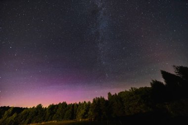 Yıldızlarla dolu güzel karanlık gece gökyüzü ve yükselen ağaçların üzerindeki gölgelerin ve Samanyolu 'nun önünde uçan Perseidler.