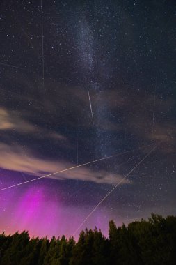 Yıldızlarla dolu güzel karanlık gece göğü ve uçan Perseidler ve muhteşem aurora 'nın önündeki uçaklar ve yüksek ağaçların üzerindeki uzun samanyolu siluetleri.