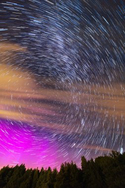 Karanlık gece gökyüzünde güzel yıldız izleri bazı tarlalar ve yüksek ağaçların siluetleri üzerinde Samanyolu ile hareket eden bulutlar ve uçan Perseidler
