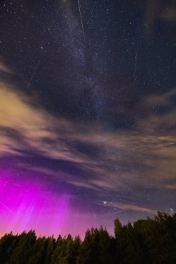 Yıldızlarla dolu güzel karanlık gece göğü ve uçan Perseidler ve muhteşem aurora 'nın önündeki uçaklar ve yüksek ağaçların üzerindeki uzun samanyolu siluetleri.