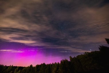 Güzel yıldızlı gece gökyüzü ağaçların üzerinde siluetler bulutların arkasında Samanyolu ve muhteşem mor aurora 