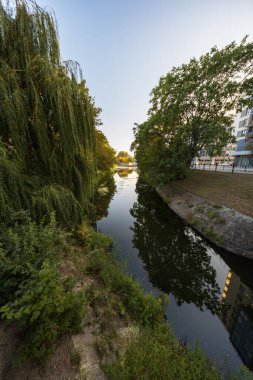 Wroclaw, Polonya - 30 Ağustos 2024: Güneşli Wroclaw şehir manzarası, yemyeşil ile çerçevelenmiş sakin şehir hendeğine yansıtılan, yakındaki bir sokak boyunca süzülen mavi bir tramvay