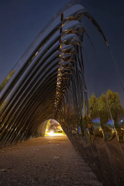 Wroclaw, Polonya - 24 Ağustos 2024: Wroclaw 'daki Daliowa Adası' nda gece aydınlatılmış Nawa heykeli, yıldızlı bir gökyüzü altında şehir ışıklarını yansıtan modern bir sanat kurulumu