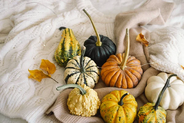 Multicolored Pumpkins Dry Autumn Leaves Wooden Background Flat Lay Top — Stock Photo, Image