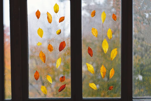 秋天的叶子贴在被雨滴淋湿的窗户上 秋天的家居装饰 舒服的心情 — 图库照片