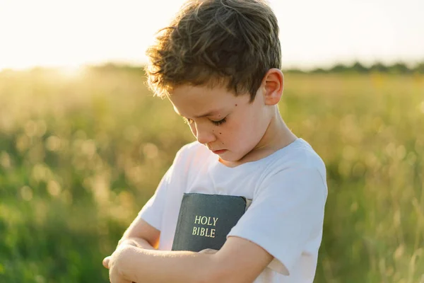 Christian boy holds bible in her hands. Reading the Holy Bible in a field during beautiful sunset. Concept for faith, spirituality and religion. Peace, hope