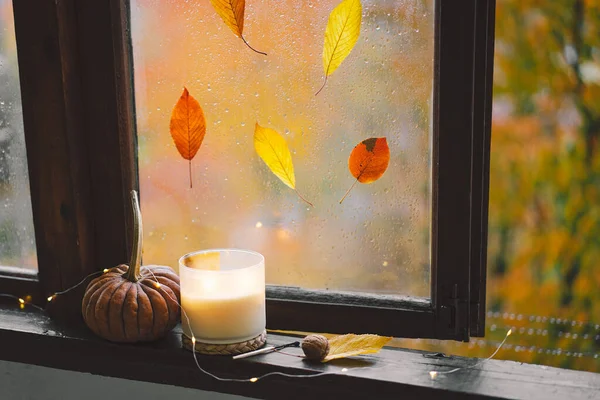 甜蜜的家家中静谧的生活细节在一个木制的窗户上 热茶和秋天装饰 秋天的家居装饰 舒服的心情 感恩节 万圣节 舒适的秋冬概念 — 图库照片