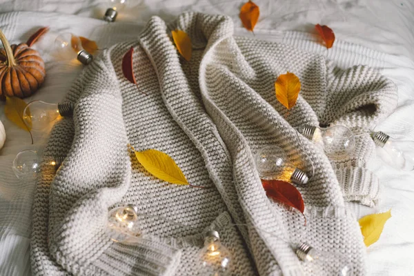 背景与温暖的毛衣 针织服装与秋叶 温暖的背景 针织物 文字空间 秋冬的概念 复制空间 — 图库照片