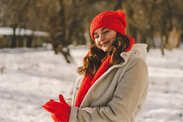 Seorang Wanita Cantik Dengan Pakaian Musim Dingin Menikmati Musim Dingin Stok Foto