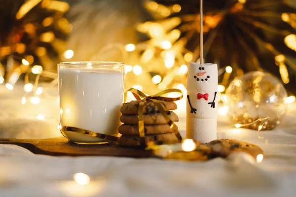 Noel Kurabiyeleri Bir Bardak Ilık Süt Noel Baba Nın Kış — Stok fotoğraf