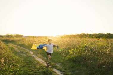 Ukrayna 'nın Bağımsızlık Günü. Ukrayna 'nın sarı ve mavi bayrağını taşıyan beyaz tişörtlü çocuk. Ukrayna bayrağı. Anayasa günü. Ukrayna 'nın yanında dur ve Kaydet