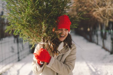 Kırmızı şapkalı güzel bir kız Noel ağacı taşıyor. Minimum moda festivali Noel ve Yeni Yıl kutlamaları konsepti.