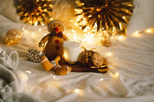 Biscotti Natale Latte Caldo Vetro Vacanza Invernale Santa Colazione Festeggiamenti — Foto Stock