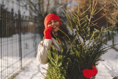 Kırmızı şapkalı güzel bir kız Noel ağacı taşıyor. Minimum moda festivali Noel ve Yeni Yıl kutlamaları konsepti.