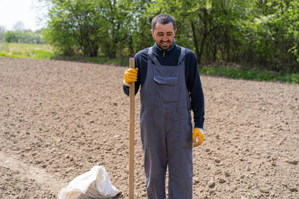 a man planting potatoes in the ground in early spring. Farmer with a shovel