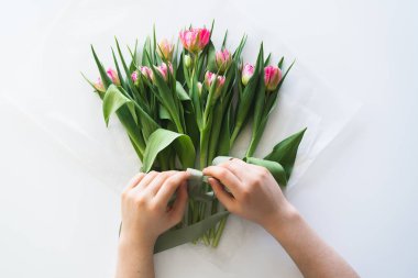 Womans hands holding bouquet of beautiful delicate tulip flowers on white background. Bouquet of pink fresh tulips.