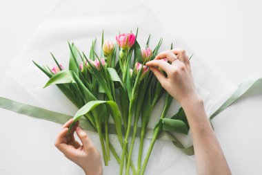 Womans hands holding bouquet of beautiful delicate tulip flowers on white background. Bouquet of pink fresh tulips.