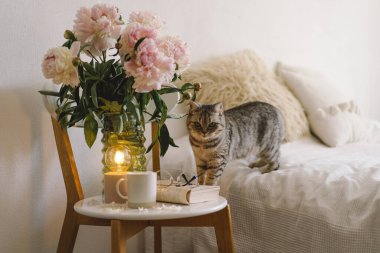 Oturma odasının iç kısımlarında hala hayat detayları var. Bardaklı kitap, fincanlı kahve ve buket pembe şakayık çiçekli çiçek. Oku ve dinlen. Konforlu ev