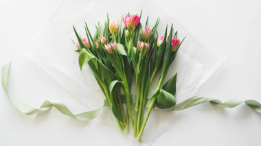 Bouquet of pink fresh tulips. Beautiful Card for Mothers Day or Womens Day.