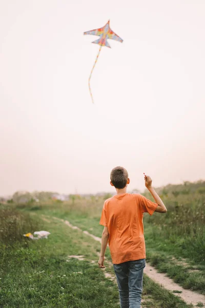 Keluarga Dan Anak Anak Bahagia Berjalan Padang Rumput Dengan Layang — Stok Foto