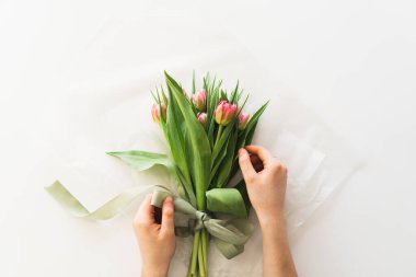 Womans hands holding bouquet of beautiful delicate tulip flowers on white background. Bouquet of pink fresh tulips.