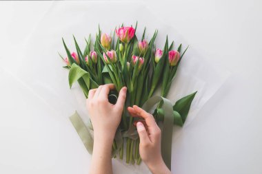 Womans hands holding bouquet of beautiful delicate tulip flowers on white background. Bouquet of pink fresh tulips.