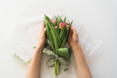 Womans hands holding bouquet of beautiful delicate tulip flowers on white background. Bouquet of pink fresh tulips.