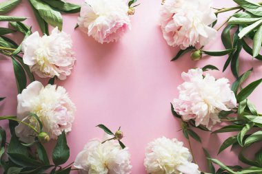 Pembe arka planda beyaz şakayıklar. Yazıtın için boş yer. Güzel bir tatil kartı. Anneler Günü. Aşk ve romantik konsept