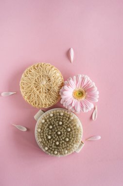 Anti-selülit kozmetik ürünleri. Doğal vücut fırçası, kozmetoloji, kabuk soyma, kaplıca ürünleri, güzellik konsepti. Evde cilt bakımı için doğal malzemeler. Anti-selülit masajı için tahta fırça.