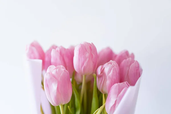 Tulipanes Rosados Sobre Fondo Blanco Hermosa Tarjeta Para Día Las — Foto de Stock