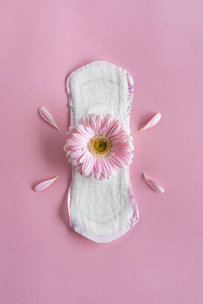 Концепция менструационного периода. Гигиеничная белая женская подушечка с цветками герберы. Менструация, защита. Здоровье женщин