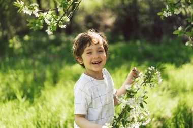 Bahar bahçesinde yürüyen mutlu küçük çocuk. Çocuk kiraz ağacının dallarıyla oynuyor ve eğleniyor. Doğayı keşfeden çocuk. Bebek eğleniyor. Meraklı çocuklar için bahar etkinliği.