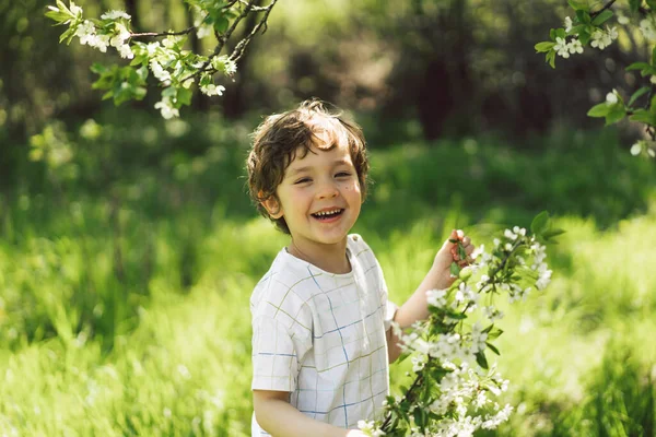 Feliz Niño Caminando Jardín Primavera Niño Jugando Con Rama Cerezo —  Fotos de Stock