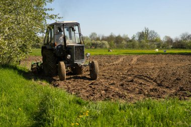Traktör tarlayı geçiyor ve toprağı işliyor. Tarım aracı kırsalda çalışıyor. Tohum ekme, ilkbaharın başlarında toprağa tohum ekme sürecidir.