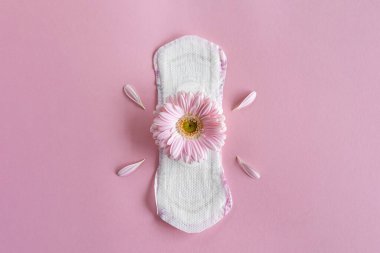 Adet dönemi konsepti. Gerbera çiçekli hijyenik beyaz kadın pedi. Adet görme, koruma. Kadın Sağlığı