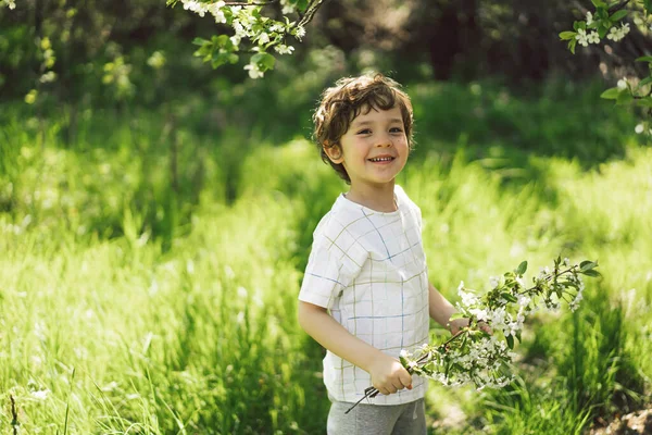 Boldog Kisfiú Aki Tavaszi Kertben Sétál Gyerekjáték Egy Cseresznyefa Ágával — Stock Fotó