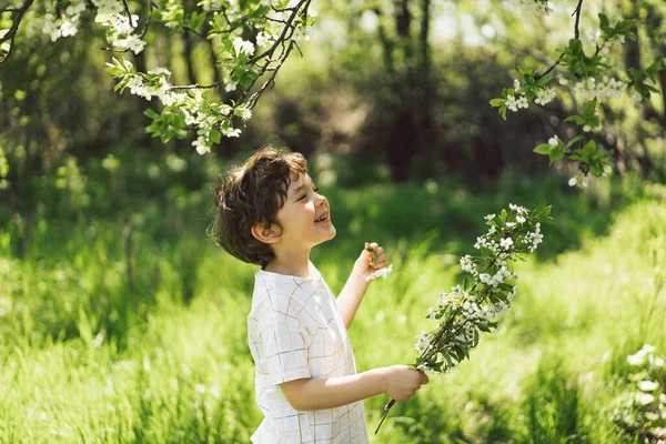 春の庭を歩く幸せな男の子 桜の枝で遊んだり 楽しんでいます 子供は自然を探検する 赤ちゃんは楽しんでる 好奇心旺盛な子供たちのための春の活動 — ストック写真