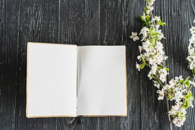 Eski bir kitap, eski ahşap masanın üzerinde. Defterler ve eskiz kitapları veya yazarlar dergisi boş bir sayfada açılır.