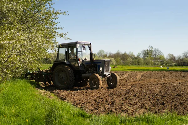 stock image The tractor drives across the field and cultivates the land. Agricultural vehicle works in countryside. Sowing is the process of planting seeds in the ground as part of the early spring time