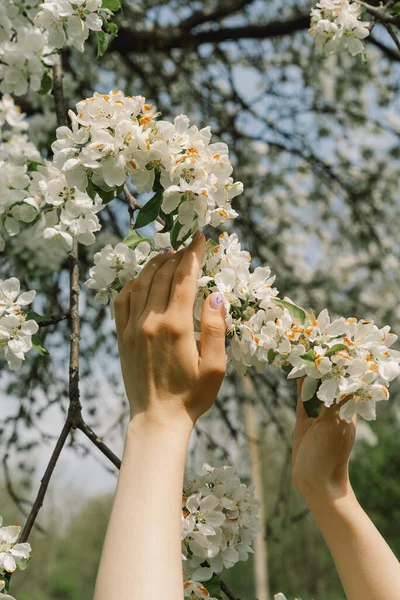 Woman holding spring flowers in her hands. Spring flowers. Abstract blurred background. Springtime.