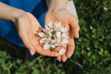 Elinde bahar çiçekleri tutan bir kadın. Bahar çiçekleri. Bulanık arkaplan. İlkbahar.